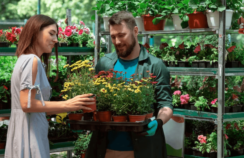 Garden Advice Homenumental: Guide to Meaningful and Sustainable Outdoor Space