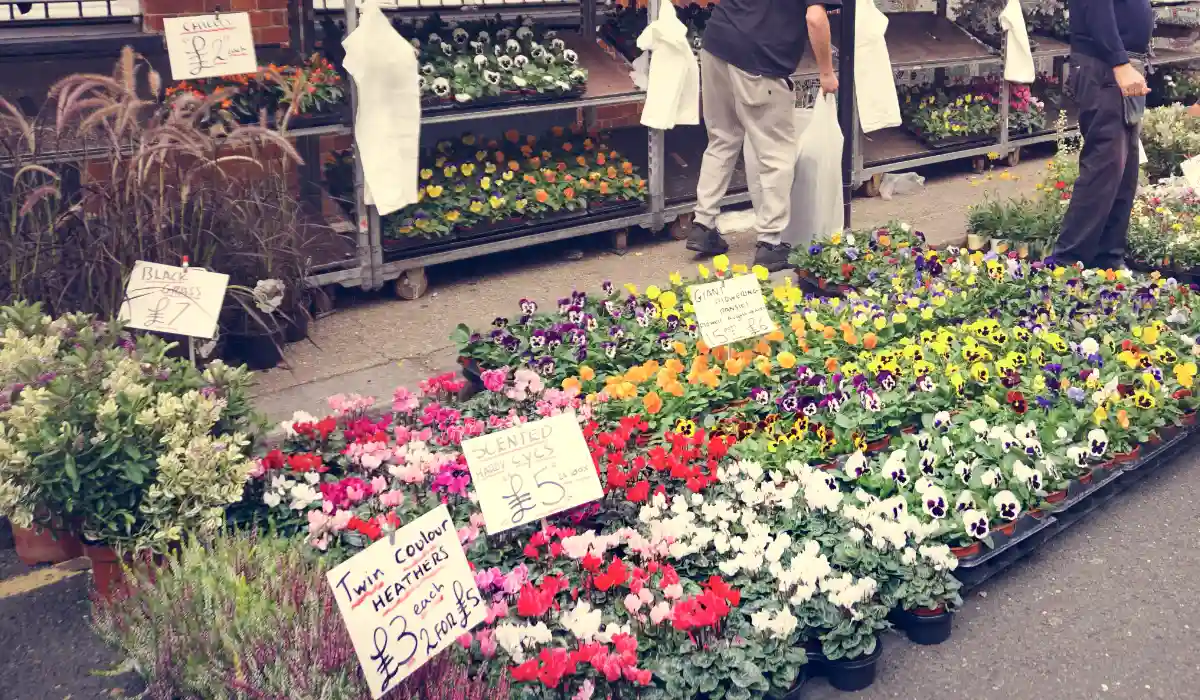 Leesburg Flower and Garden Festival: Complete Visitor Guide